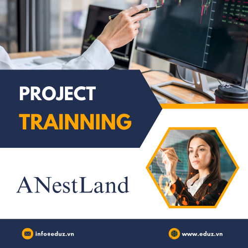 Buổi 8: Chiến Lược Phát Triển - AnestLand